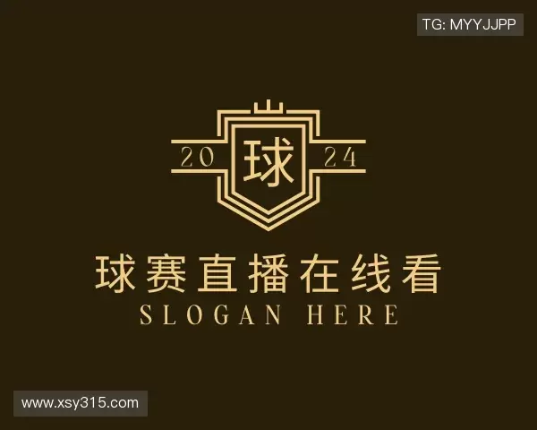 关于球赛直播在线看